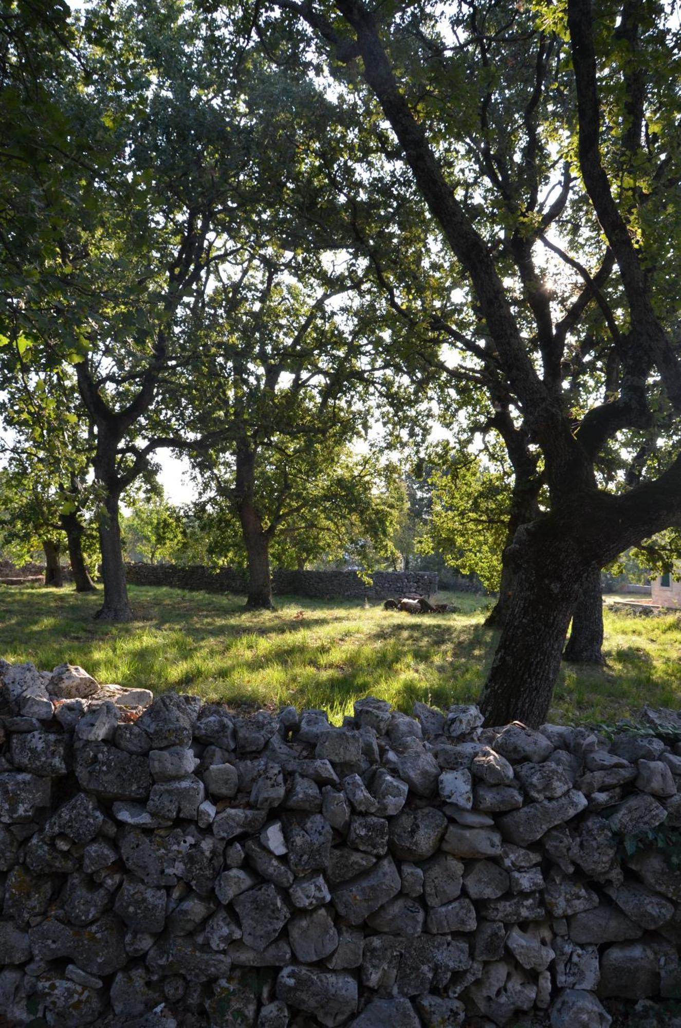 Villa Leopoldo By Istrian Country Houses Barat  Exterior photo